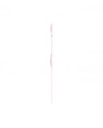 SWATCH CARICIA ROSA - SS09P100