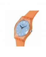 SWATCH VIEW FROM A MESA - Image 4