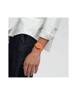 SWATCH TRENDY LINES IN SIENNA - Image 2