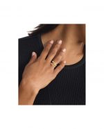 CK STATEMENT LINKS - Image 2