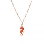 DODO NATURE - Image 4