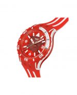 SWATCH LION'S MANE - Image 5