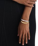 CK ELLIPTICAL - Image 2